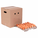 Huevo Caja 180 Un Extra Color