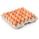 Huevo Primera a Color Bandeja