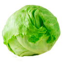 Lechuga Escarola Unidad