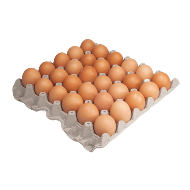 Huevos Extra a Color Bandeja